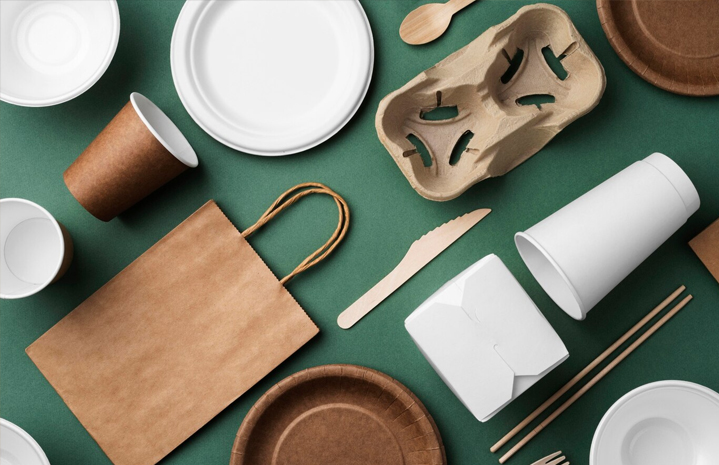 Salatpapirskål: Veiledning til typer, bruk og kompost