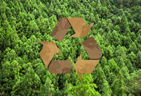 FSC & EUDR & PEFC Guide for Disponible Catering Supplies Procurement